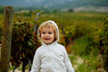 Alpenfleece, toepassingsvoorbeeld